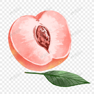 9.1短视频APPAPP应用